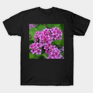 Cluster of Tiny Pink Flowers Photographic Image T-Shirt